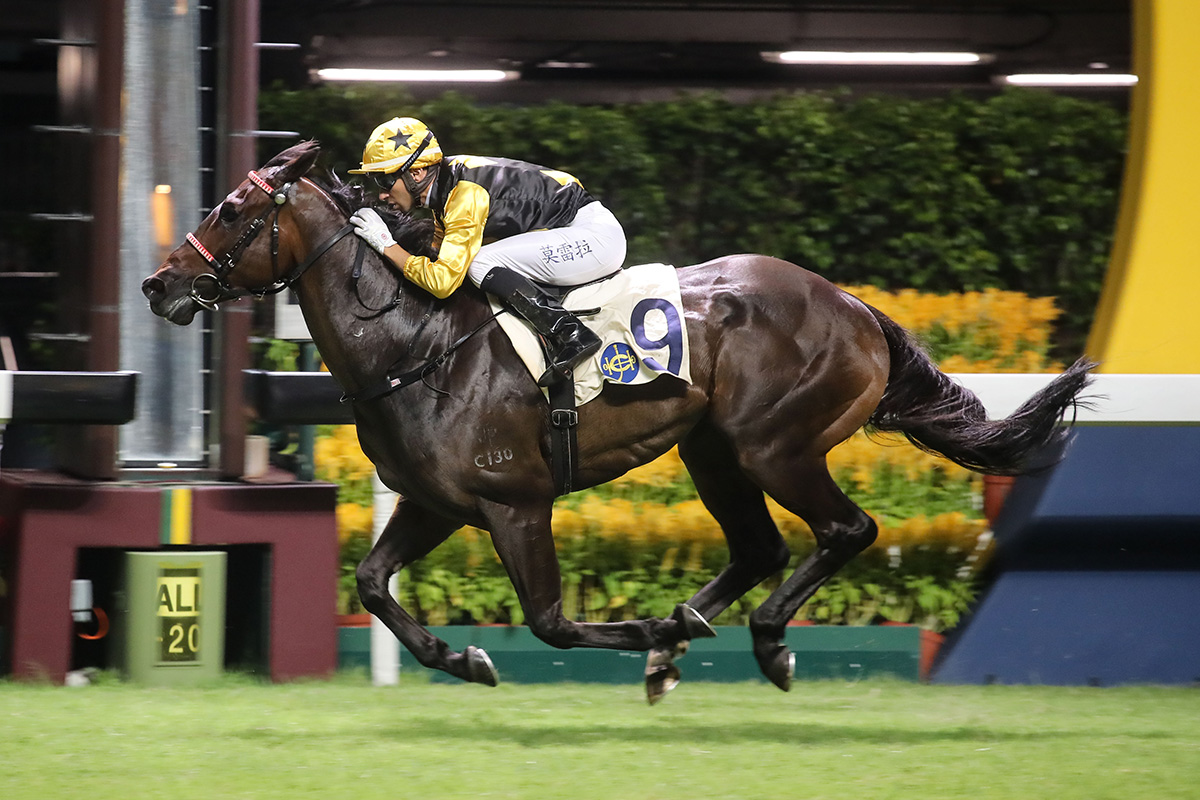 King’s Trooper initiates a double for trainer Ricky Yiu.