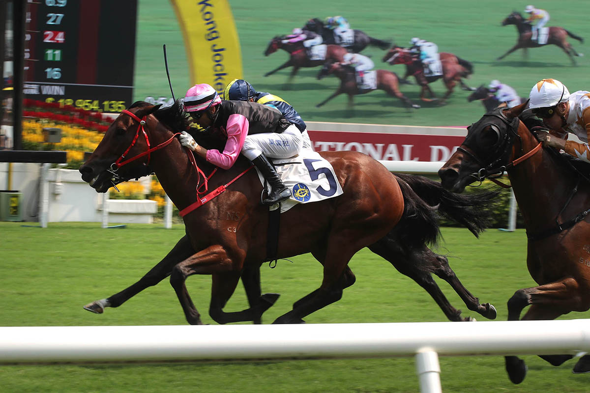 Full Of Beauty (No. 5) takes the G3 National Day Cup (1000m) under jockey Joao Moreira.