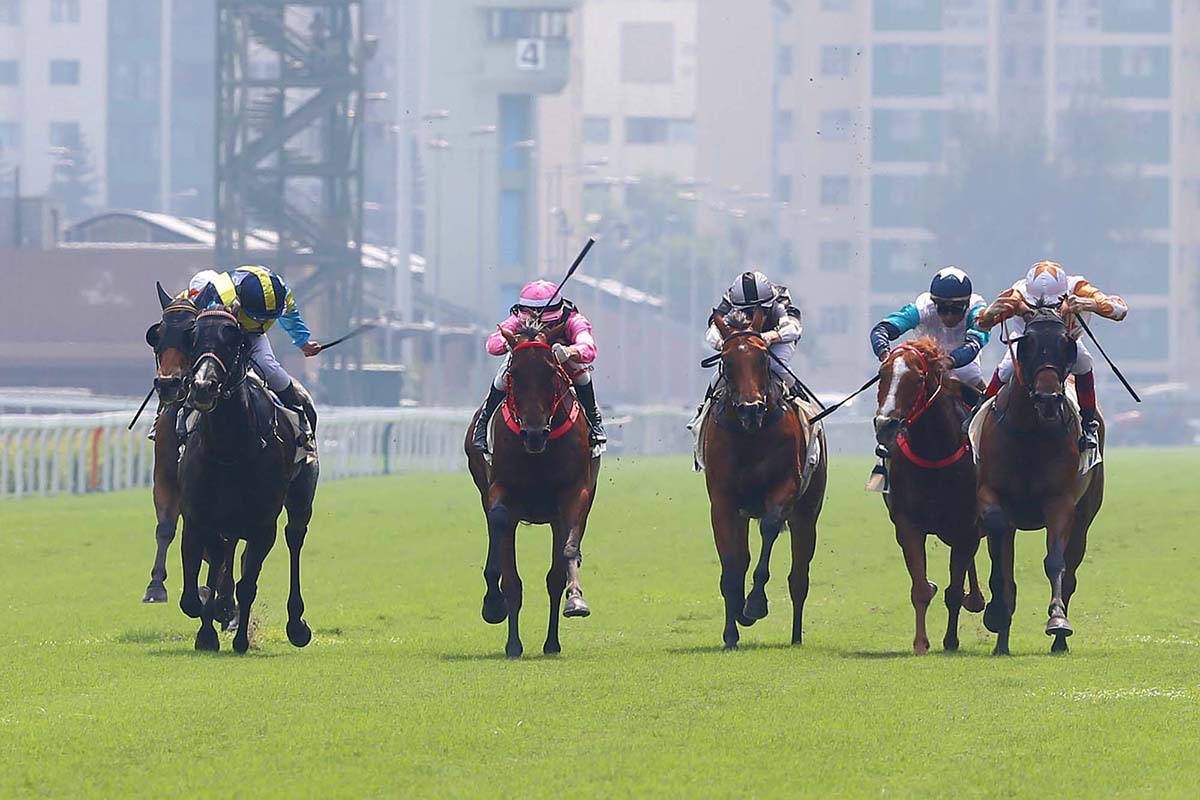 Full Of Beauty (No. 5) takes the G3 National Day Cup (1000m) under jockey Joao Moreira.