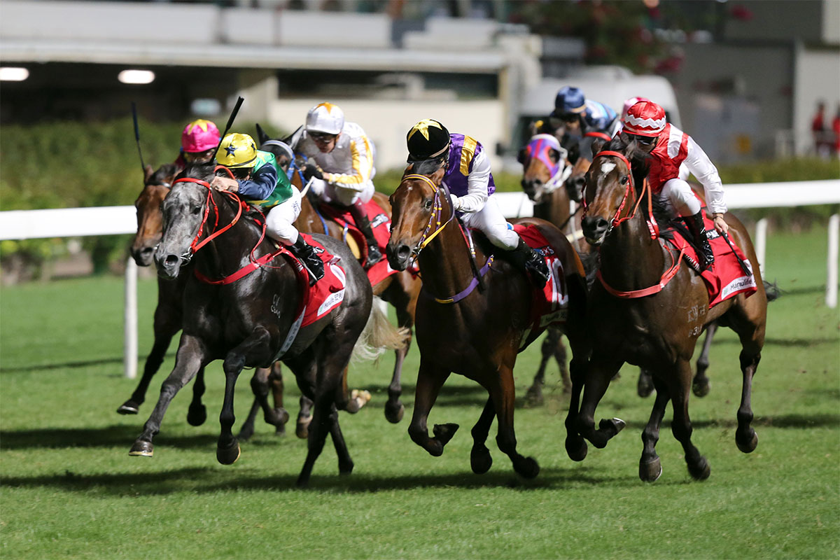Reliable Team (green colours) makes it three wins from five starts.