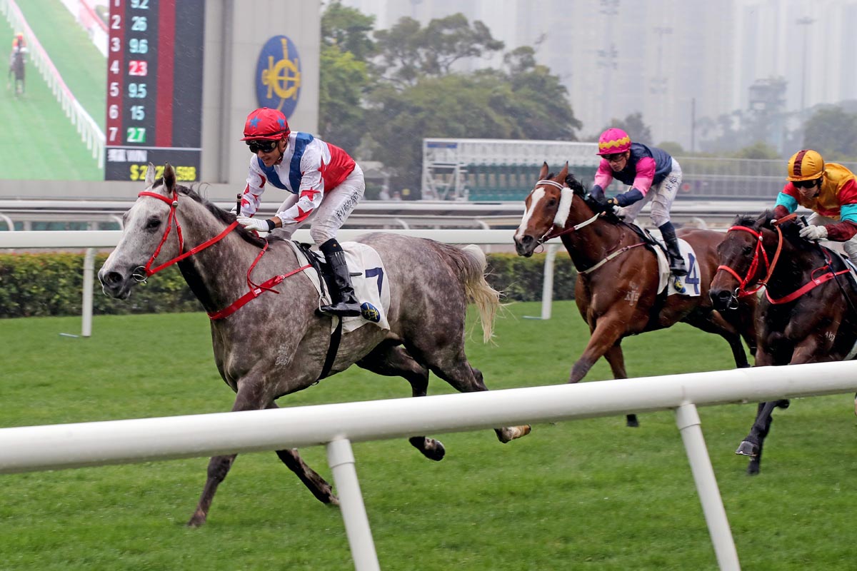 The Frankie Lor-trained Big Party, ridden by Grant van Niekerk, wins the G3 Bauhinia Sprint Trophy Handicap (1000m) at Sha Tin Racecourse today.