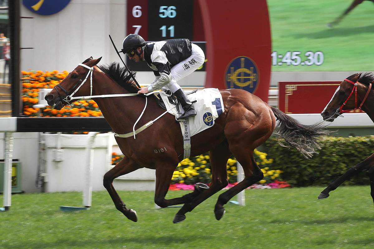 The Tony Cruz-trained Exultant, with Zac Purton atop, wins the Group 3 Centenary Vase Handicap (1800m) at Sha Tin today.