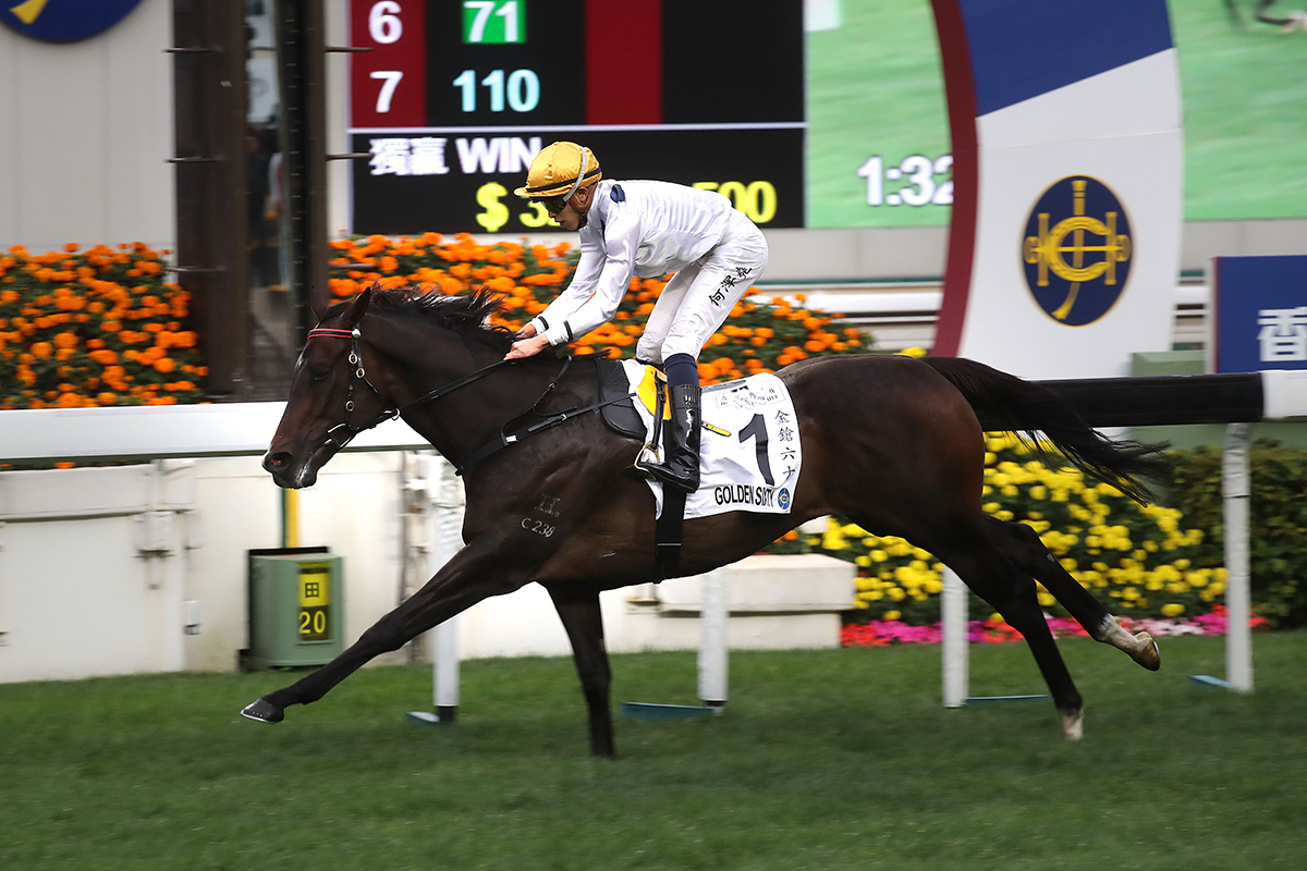 The Francis Lui-trained Golden Sixty (No. 1), with Vincent Ho on board, storms home to take the Hong Kong Classic Mile, the first leg of the Four-Year-Old Classic Series, at Sha Tin Racecourse today.