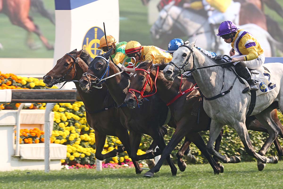 Amazing Beats (far-side) could make the BMW Hong Kong Derby line-up.