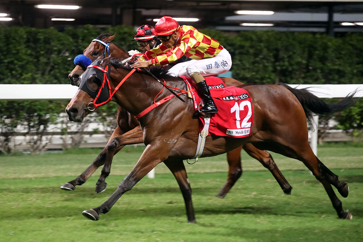 Shining Ace is the 2020 DBS x Manulife Million Challenge winner.