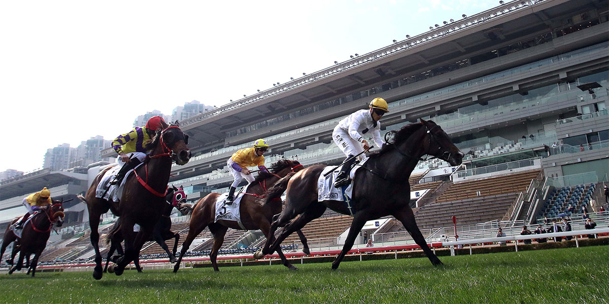 The Francis Lui-trained Golden Sixty, with Vincent Ho on board, takes the Hong Kong Classic Cup (1800m), the second leg of the Four-Year-Old Classic Series, at Sha Tin Racecourse today.