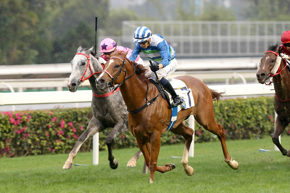 hkjc horse race betting limited liability