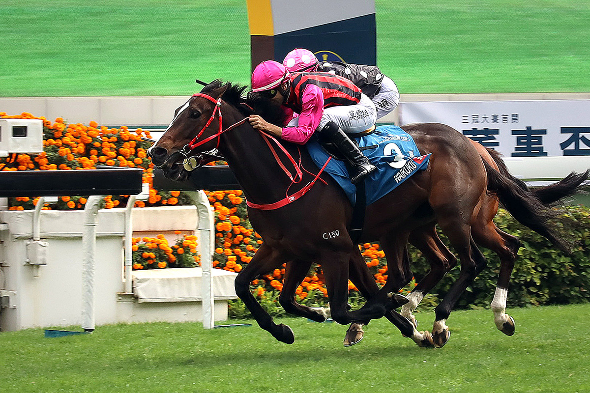 Waikuku wins the G1 Stewards’ Cup in January under Joao Moreira.