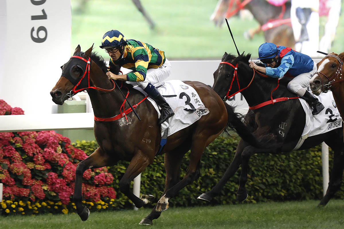 Furore wins the Hong Kong Derby last year.
