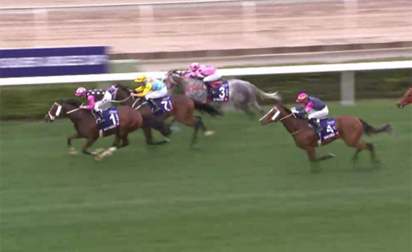 Horse Of The Year Title Is Back In Beauty Generation S Sights Racing News The Hong Kong Jockey Club