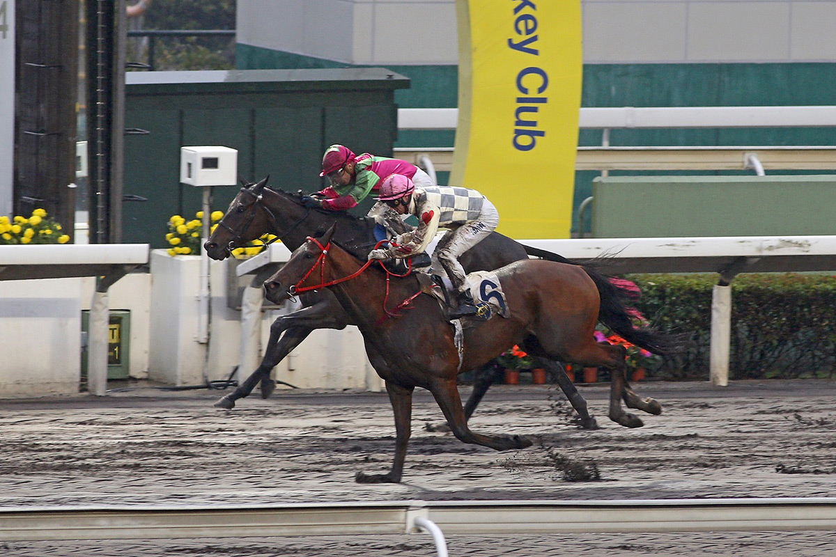 Glorious Artist (pink cap) wins on the dirt in December under Purton.