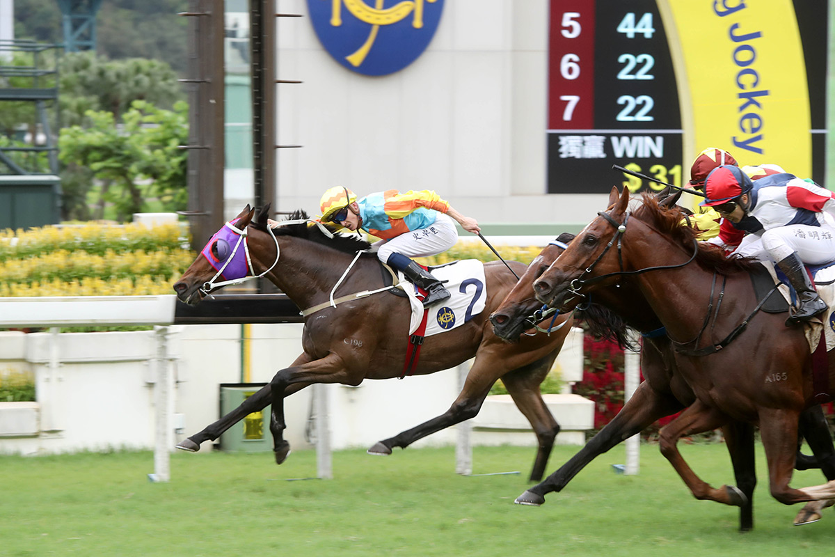 The Tony Cruz-trained Ka Ying Star, ridden by Chad Schofield, wins the Group 3 Lion Rock Trophy Handicap at Sha Tin Racecourse today.