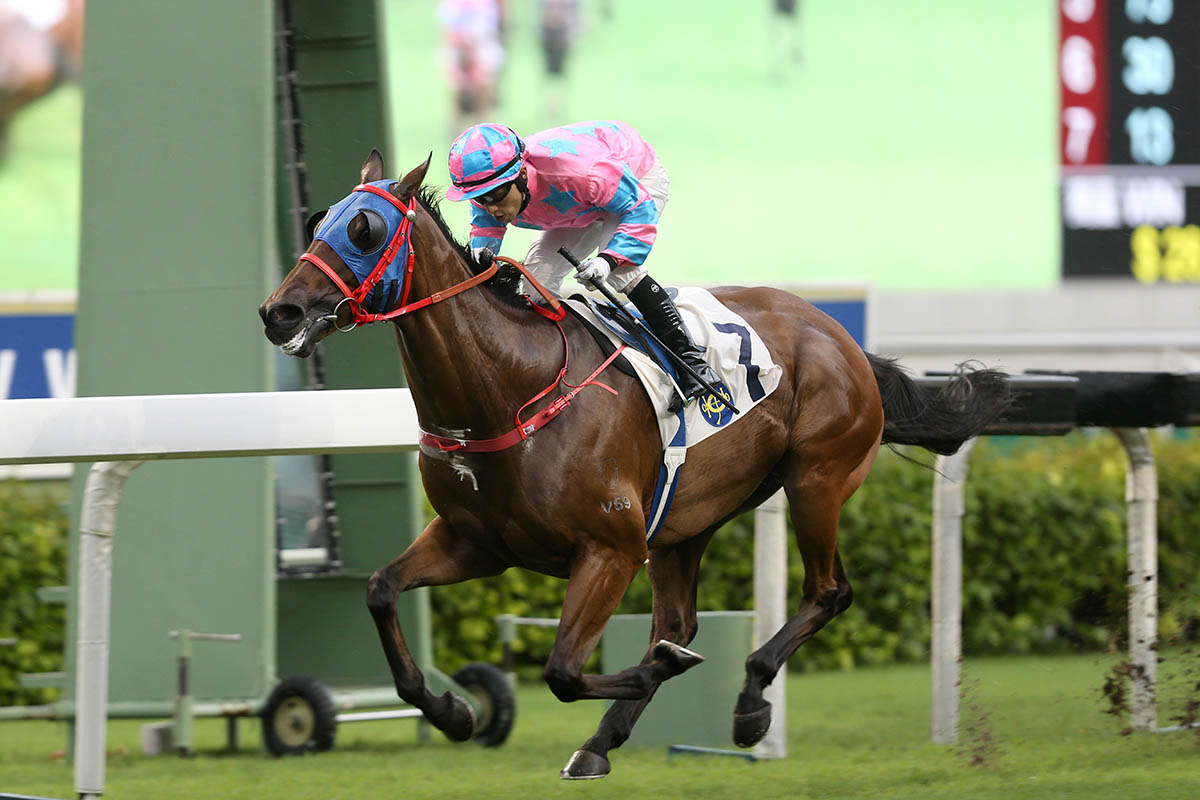 Care Free Prince proves to be a good ally again for Alfred Chan
