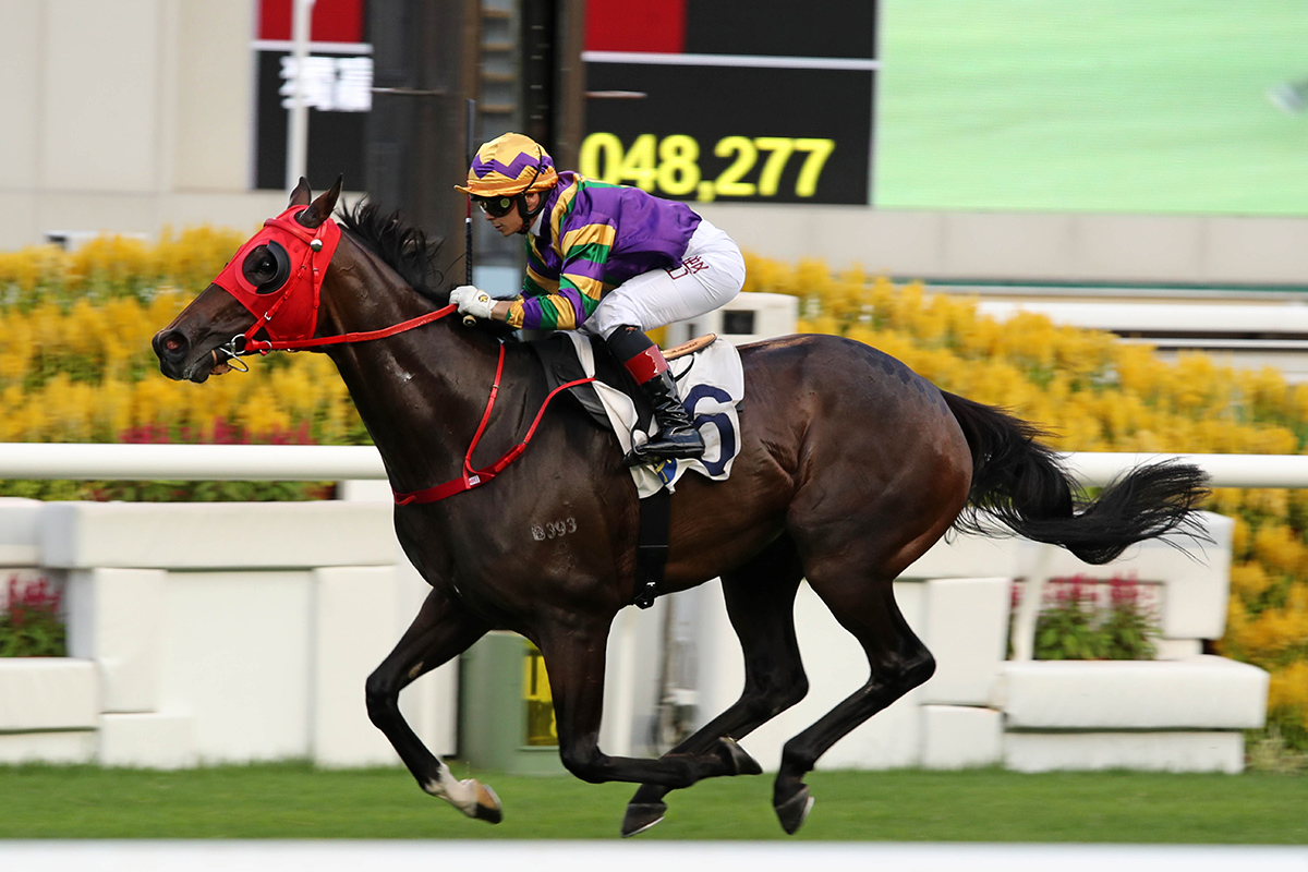 The Danny Shum-trained Perfect Match, ridden by Alexis Badel, takes the Class 1 HKSAR Chief Executive’s Cup at Sha Tin Racecourse today.