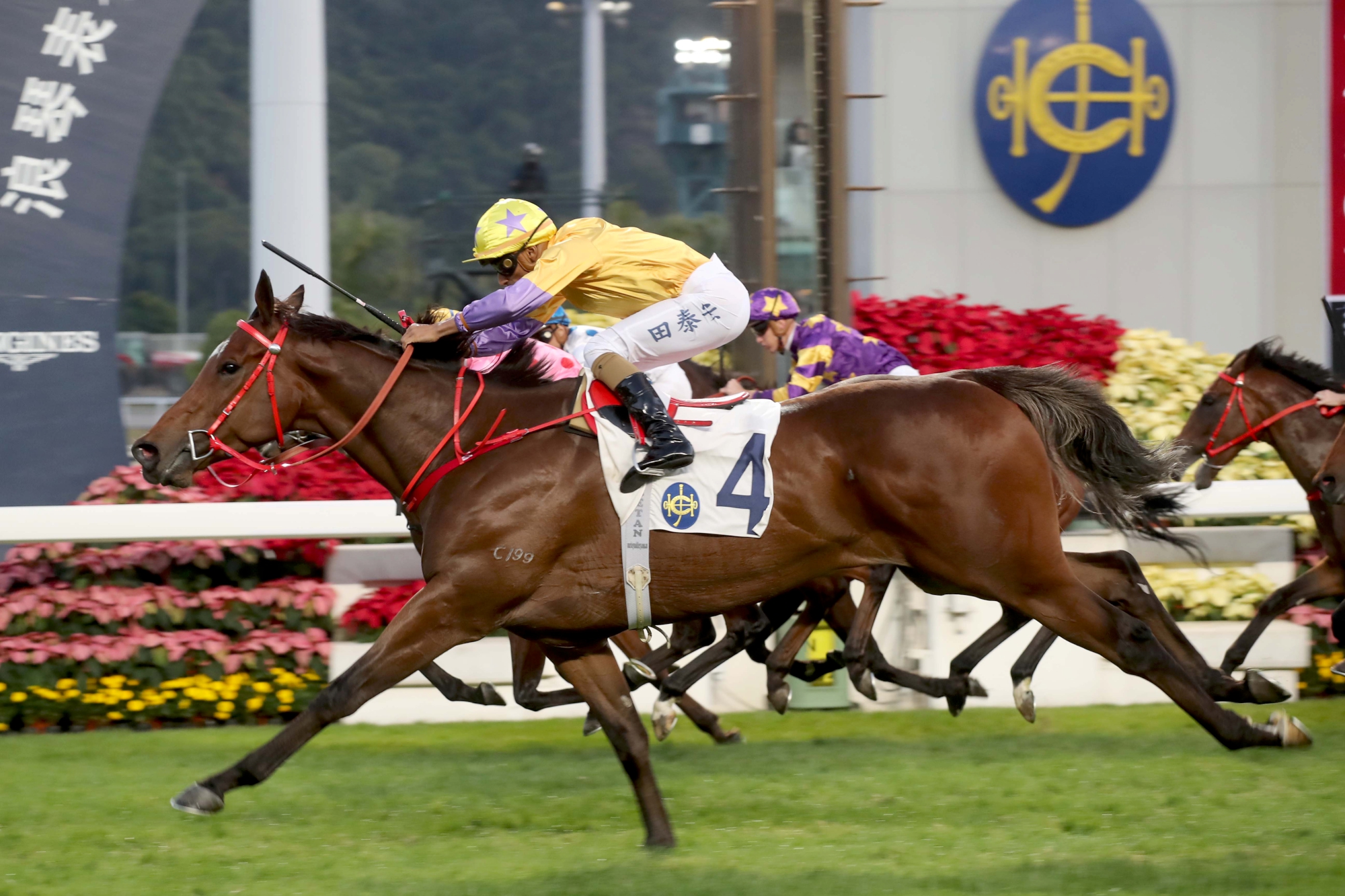 More Than This - HK : One-time BMW Hong Kong Derby hopeful who on the big day managed third; four-time winner who finished fifth to Southern Legend in G1 FWD Champions Mile.