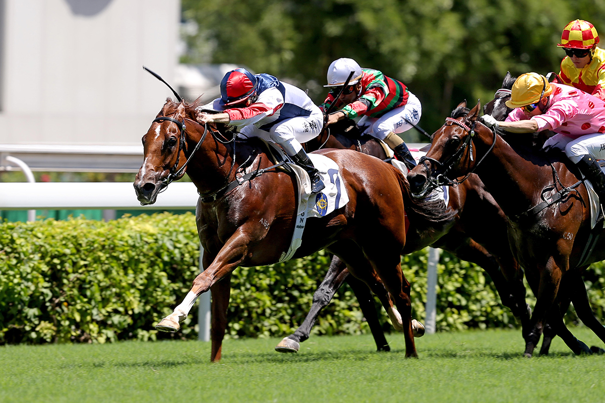 Fast Most Furious is a five-time winner in Hong Kong.