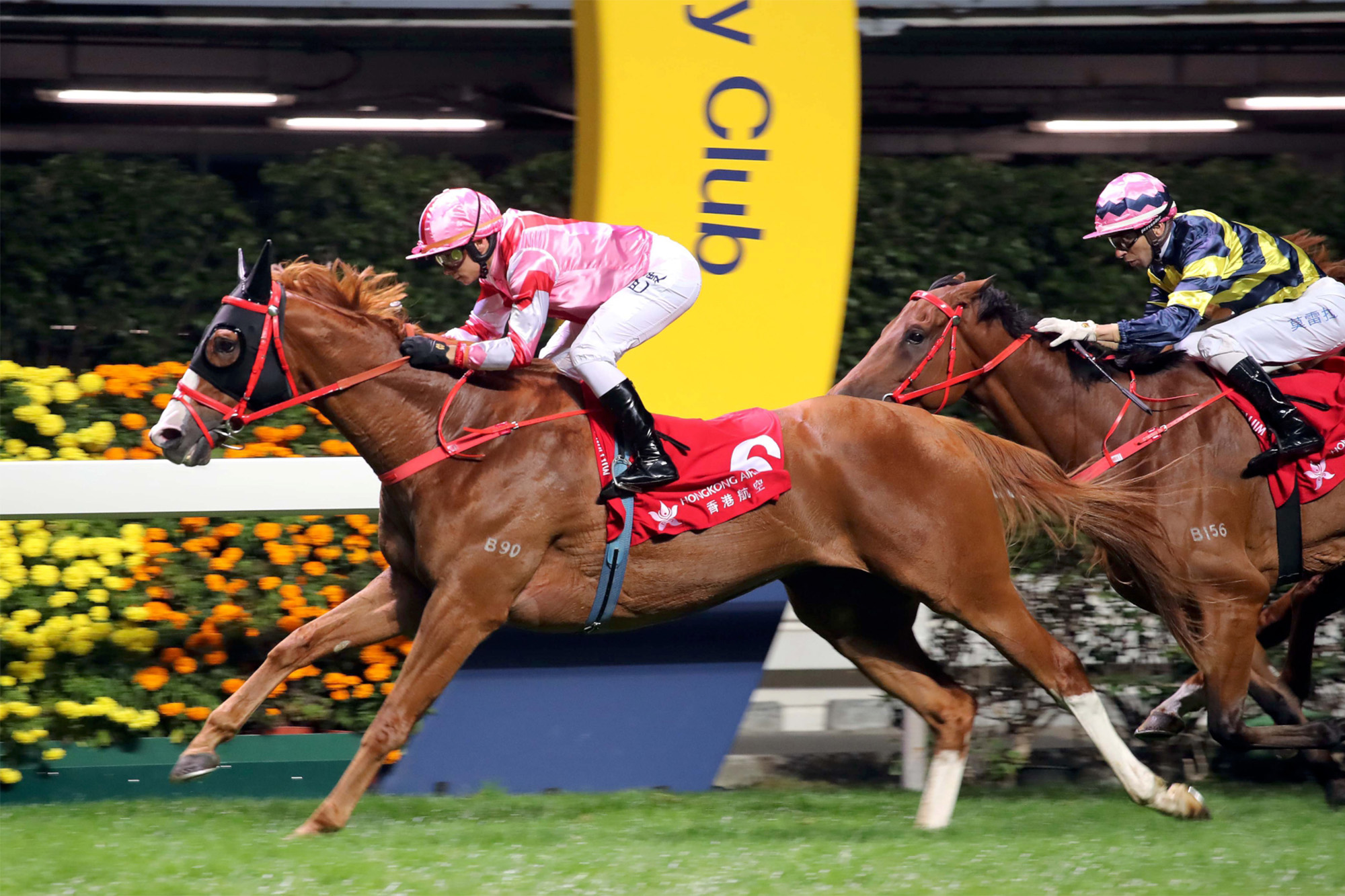 Simply Brilliant – HK : Talented son of Frankel with six Hong Kong wins from 25 starts; 2019 G3 January Cup score to his name as well, finished third in 2019 FWD Champions Mile.
