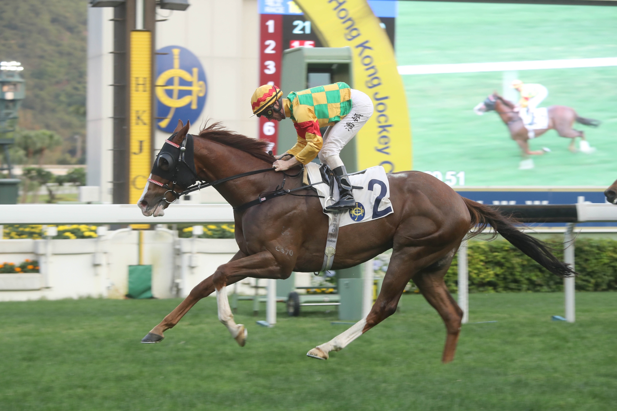 Mighty Giant – HK : Solid galloper with six wins including five in succession before well beaten for fourth in G2 Jockey Club Mile.