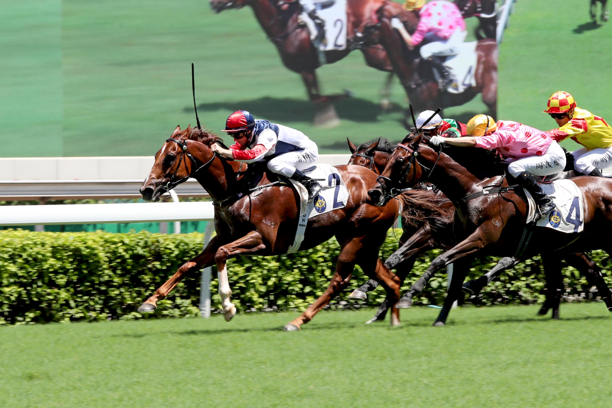 Fast Most Furious - HK : Solid five-time winner from 32 starts in HK including 10 other top three efforts; makes G1 debut.