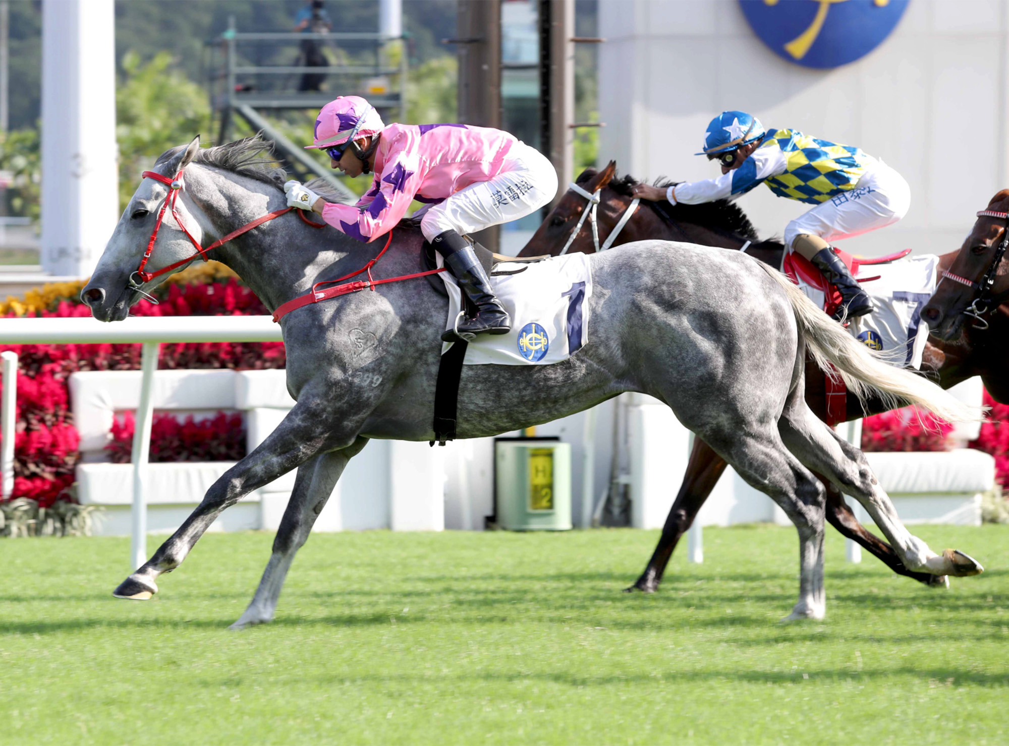 Hot King Prawn – HK : Dual G2 Jockey Club Sprint winner who has placed three times at G1 level, including a neck defeat in last year’s G1 LONGINES Hong Kong Sprint.