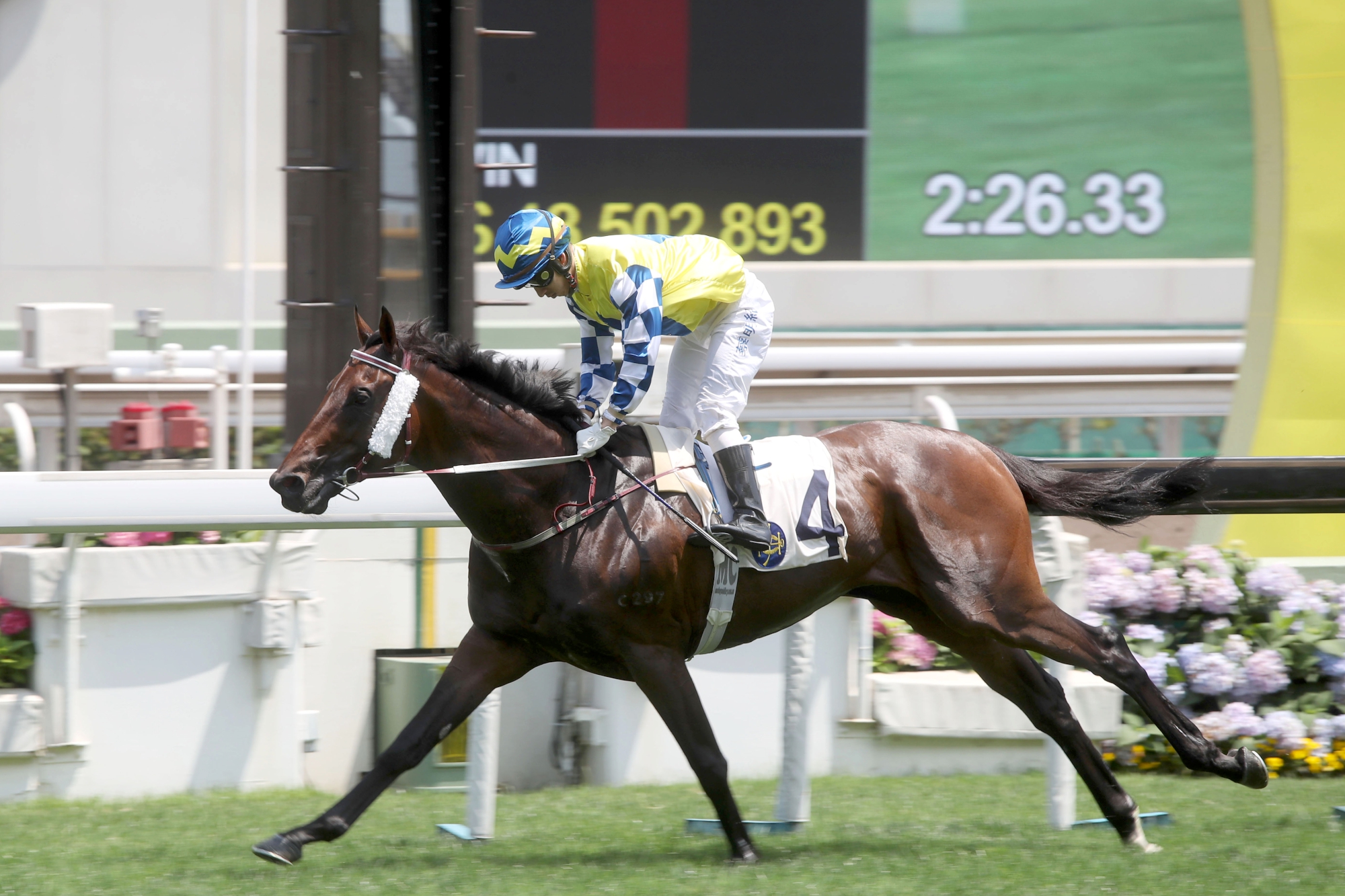 Chefano – HK : G3 Queen Mother Memorial Cup winner over this distance; likes to roll forward but has struggled in three runs this campaign.