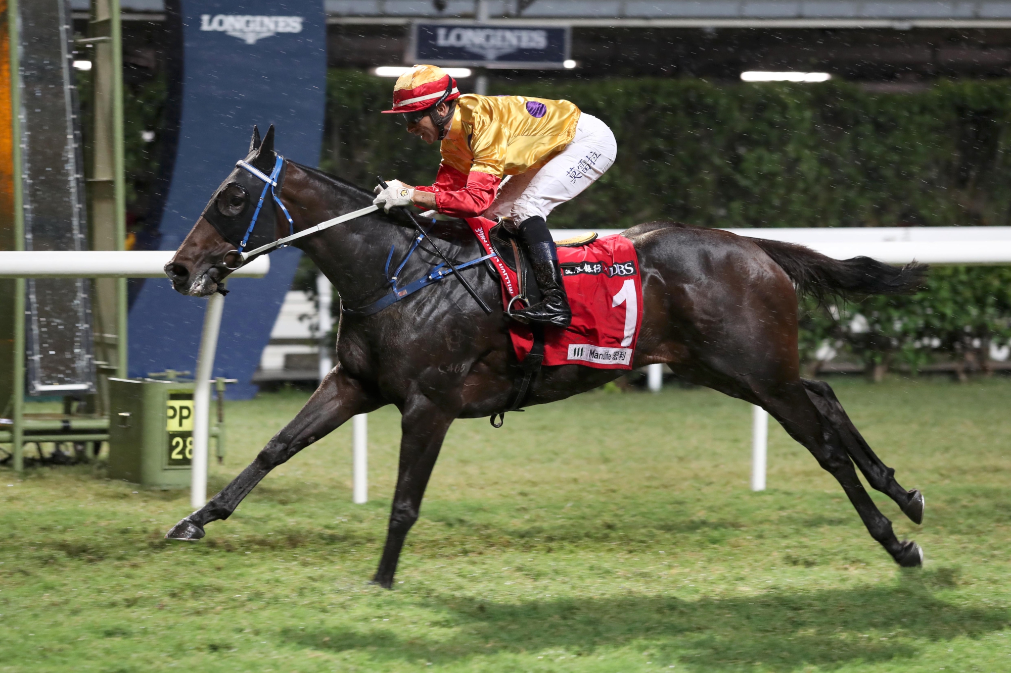Columbus County – HK : One-time BMW Hong Kong Derby hope who has since won twice; last-start third in G2 Jockey Club Cup.