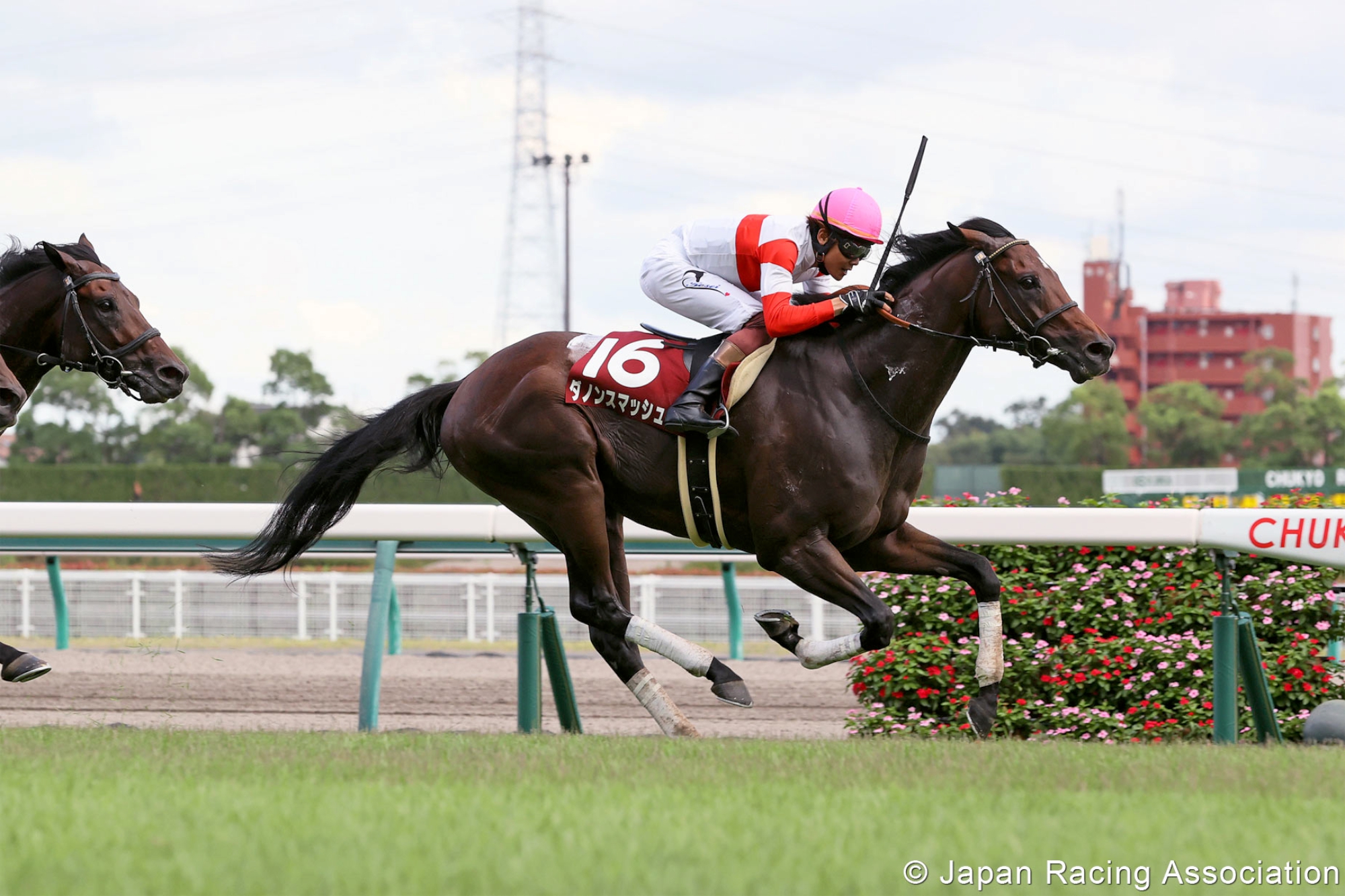 Danon Smash – JPN : Finished second to Gran Alegria last start in the G1 Sprinters Stakes; dual G2 winner and four-time G3 winner prior to that.