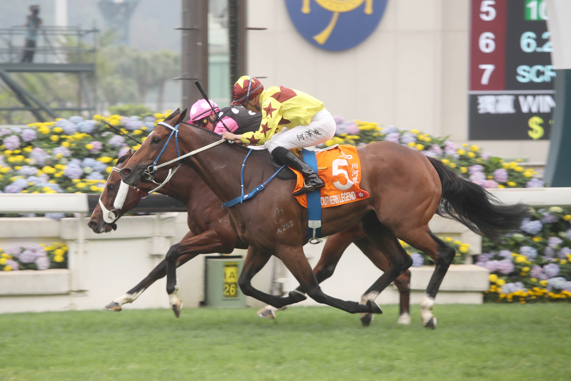 Southern Legend – HK : Dual SIN G1 Kranji Mile winner who edged Beauty Generation in a thrilling FWD Champions Mile victory last season.