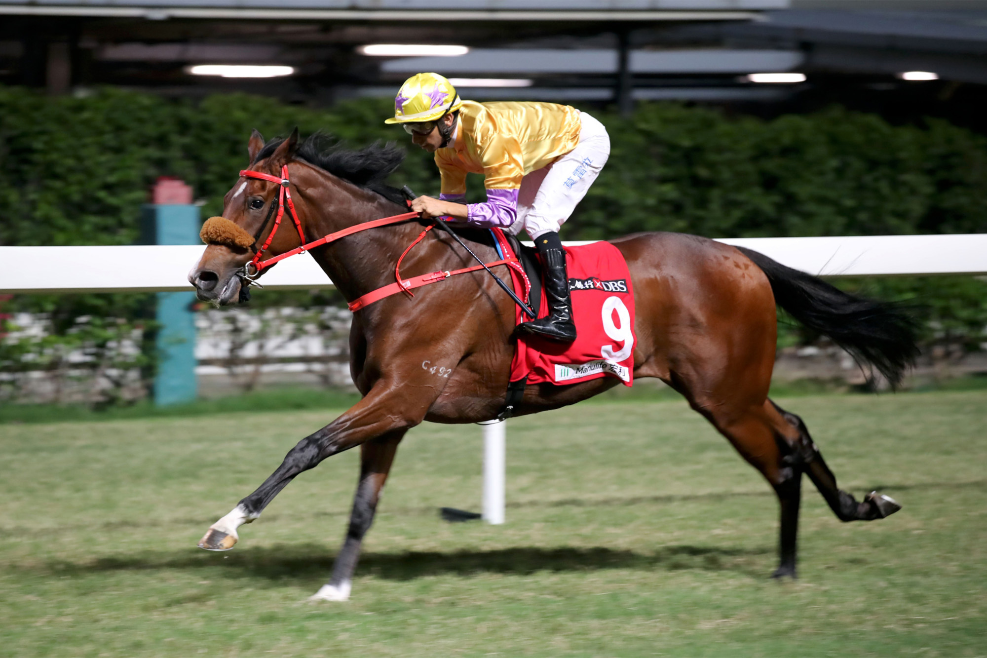 Playa Del Puente – HK : 2020 BMW Hong Kong Derby runner-up who races beyond 2000m for the first time.