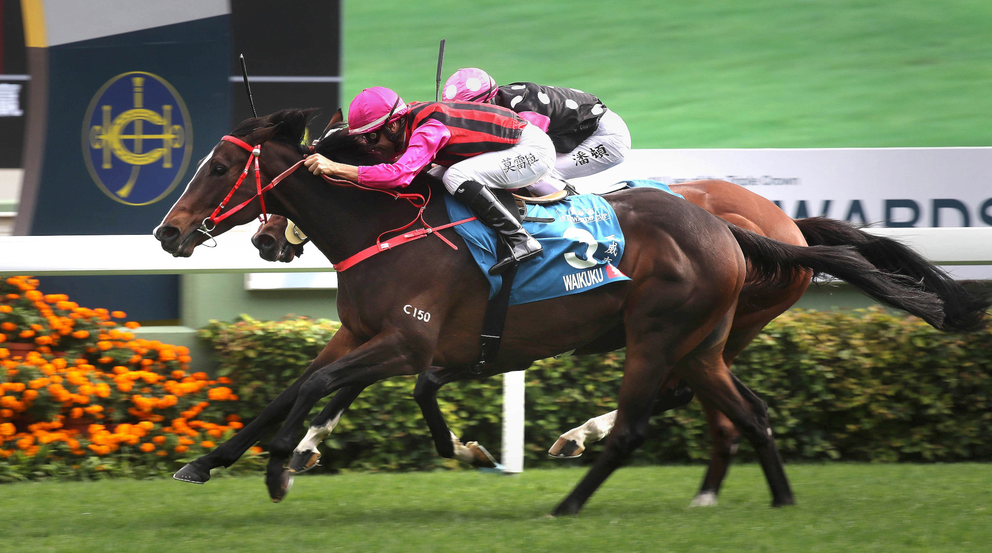 Waikuku – HK : Returns first-up after finishing third in April’s G1 FWD Champions Mile; prior won G1 Stewards’ Cup and did finish second to Admire Mars in this race last year.
