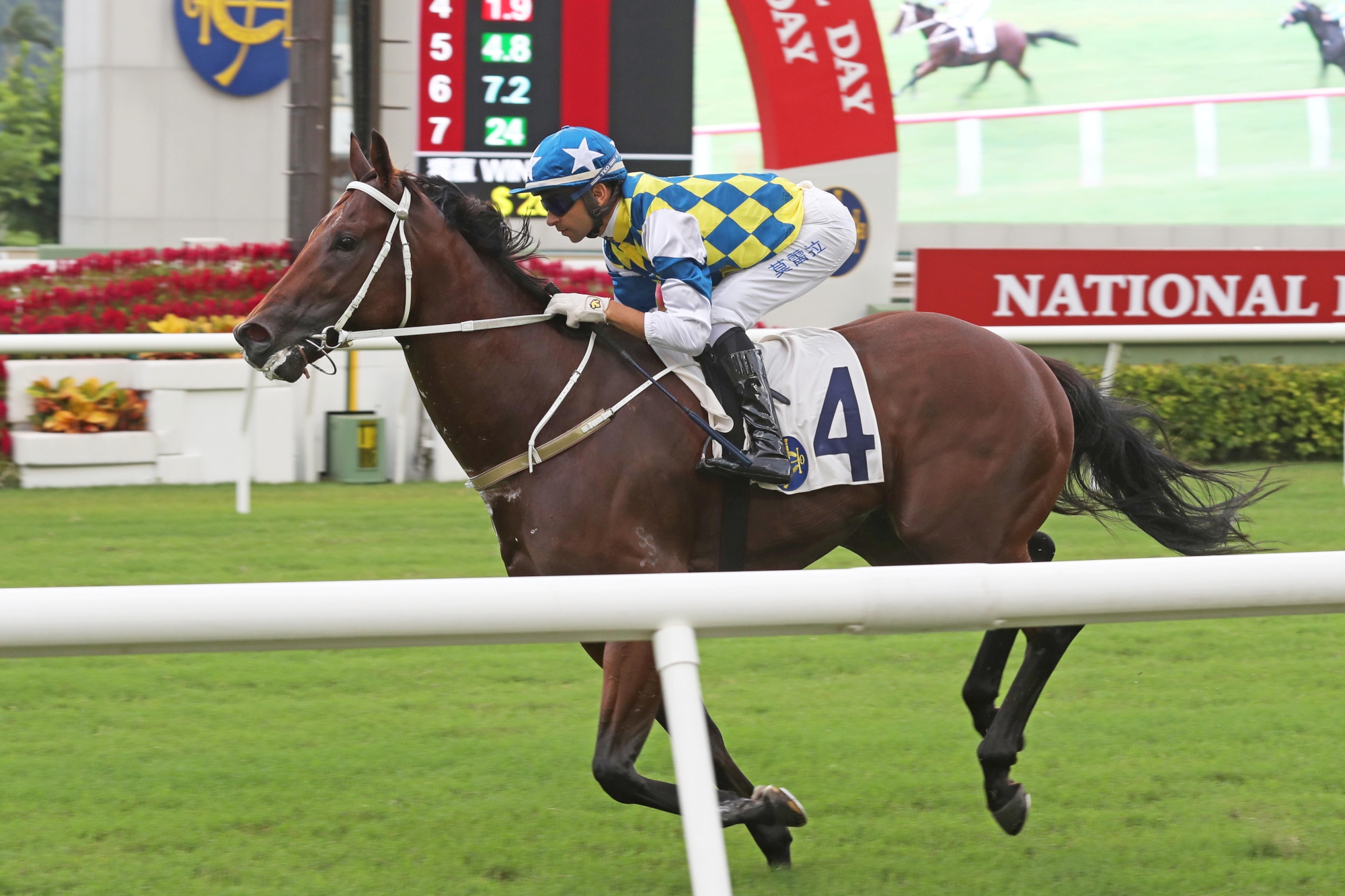 Computer Patch – HK : Young gun who captured the G3 National Day Cup three starts ago before twice finishing runner-up at G2 level.