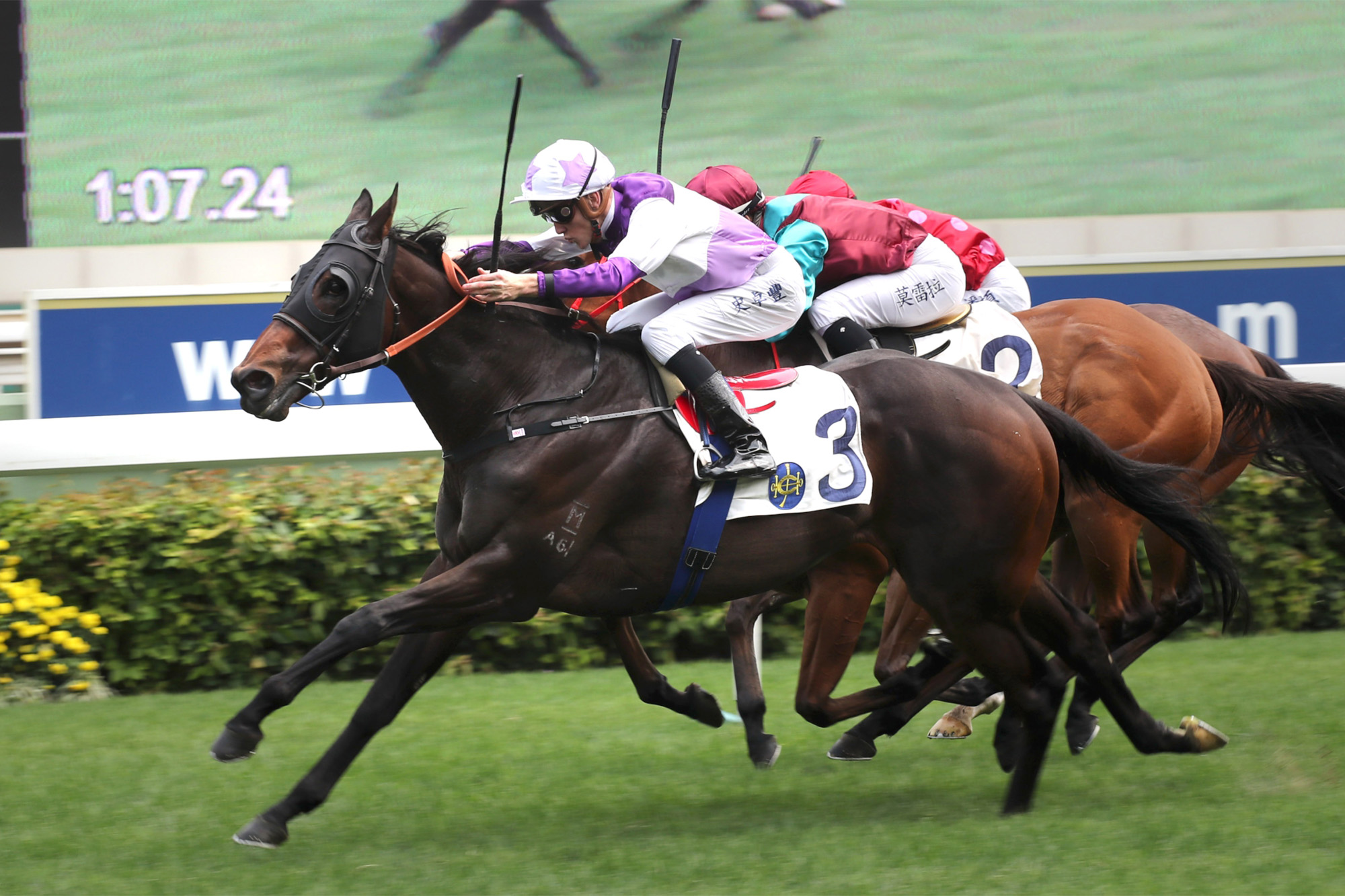 Rattan – HK : Seven-time winner including 2019 G2 Sprint Cup; last two runs have produced fast-closing third place-efforts at G2 level.