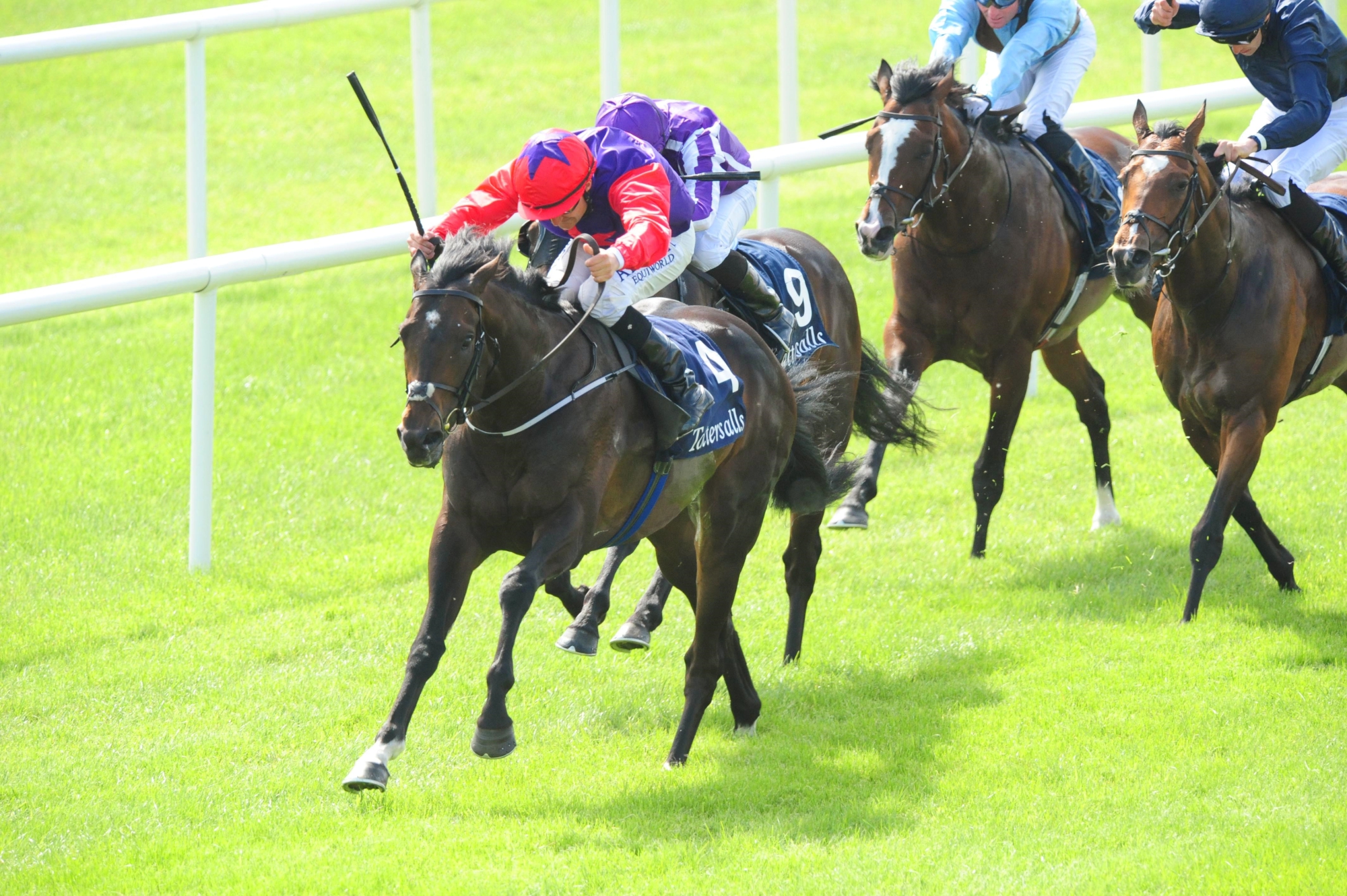 Romanised – IRE : G1 winner in France and Ireland; won Irish 2000 Guineas; also two-time G2 winner in Ireland at The Curragh.