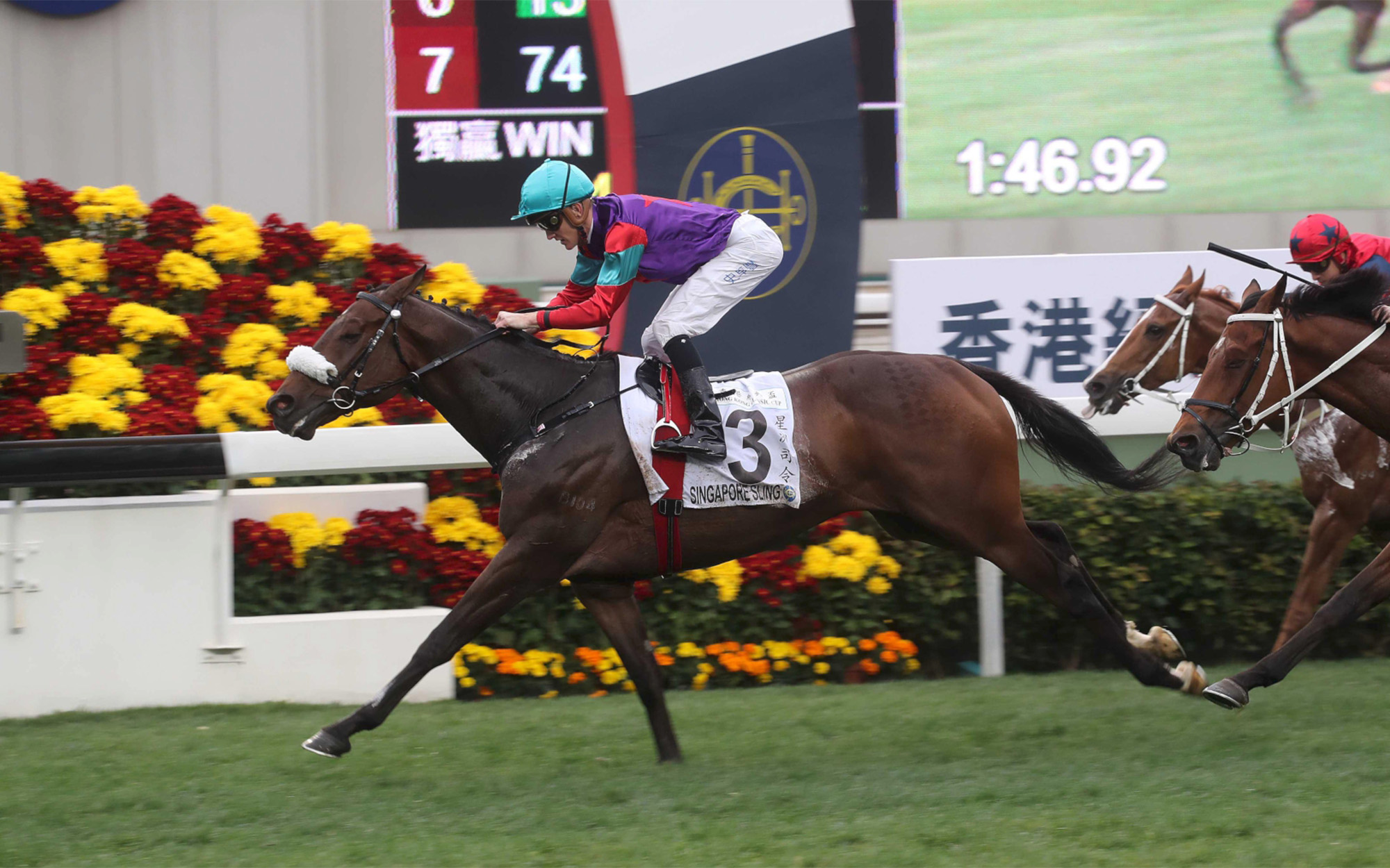 Singapore Sling – HK : Three unplaced runs in return from a near 12 month layoff with injury; 2018 Hong Kong Classic Cup winner who has placed at G1 level to Beauty Generation.