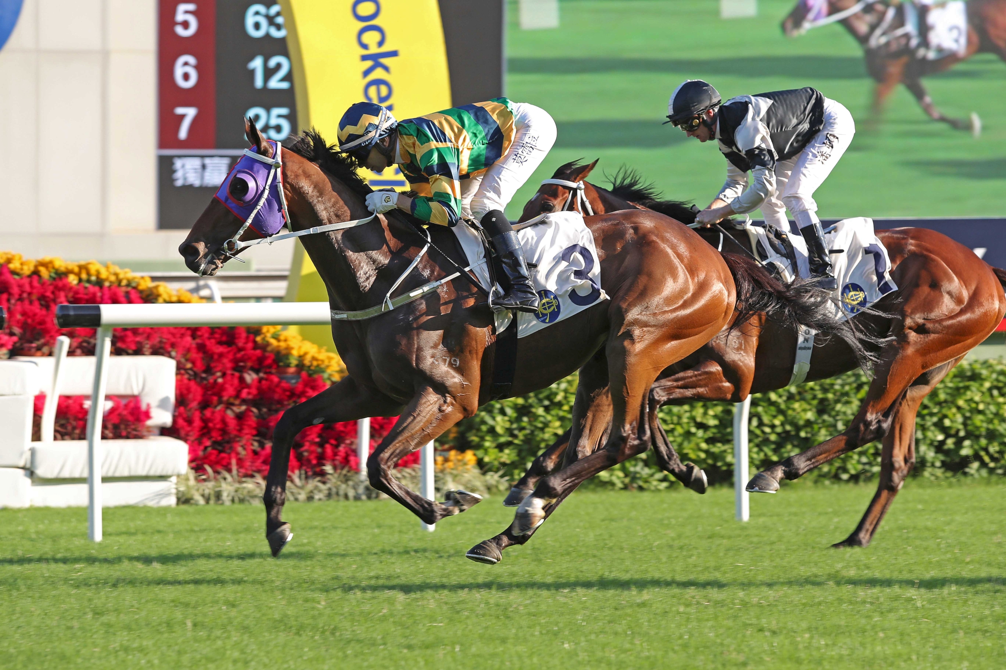 Furore – HK : 2019 BMW Hong Kong Derby hero who has returned to best with two Pattern race wins this season, G3 Sa Sa Ladies’ Purse and G2 Jockey Club Cup, twice beating Exultant.