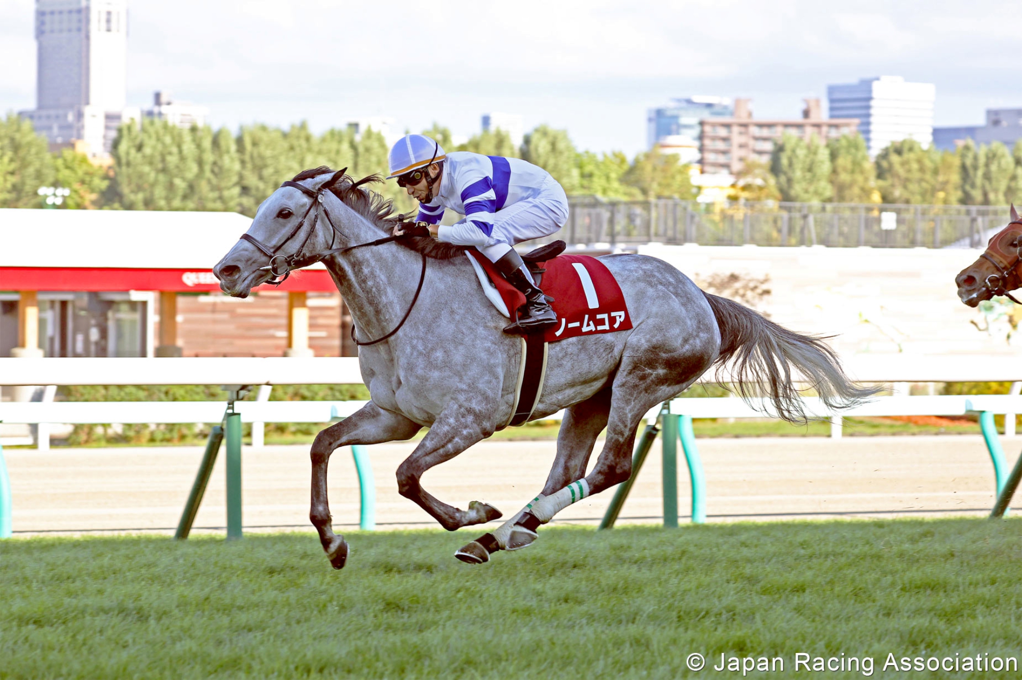 Normcore – JPN : 2019 G1 Victoria Mile winner; third to Almond Eye in that race this year; last out faded to third last in Queen Elizabeth II Cup.