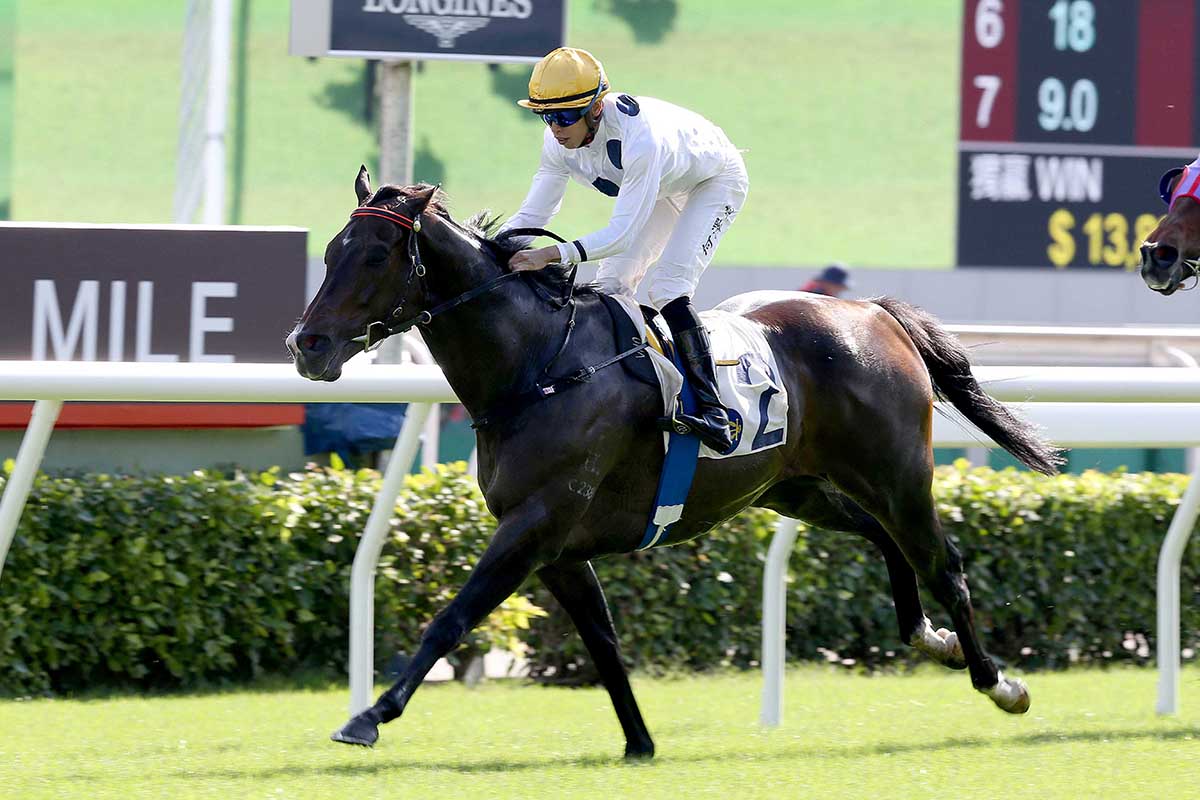 The Francis Lui-trained Golden Sixty, with Vincent Ho on board, takes the G2 Jockey Club Mile (1600m) at Sha Tin Racecourse.