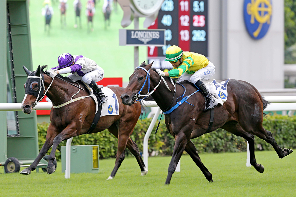 The Caspar Fownes-trained Sky Darci (No. 12), ridden by Joao Moreira, takes the Chevalier Cup at Sha Tin Racecourse today.