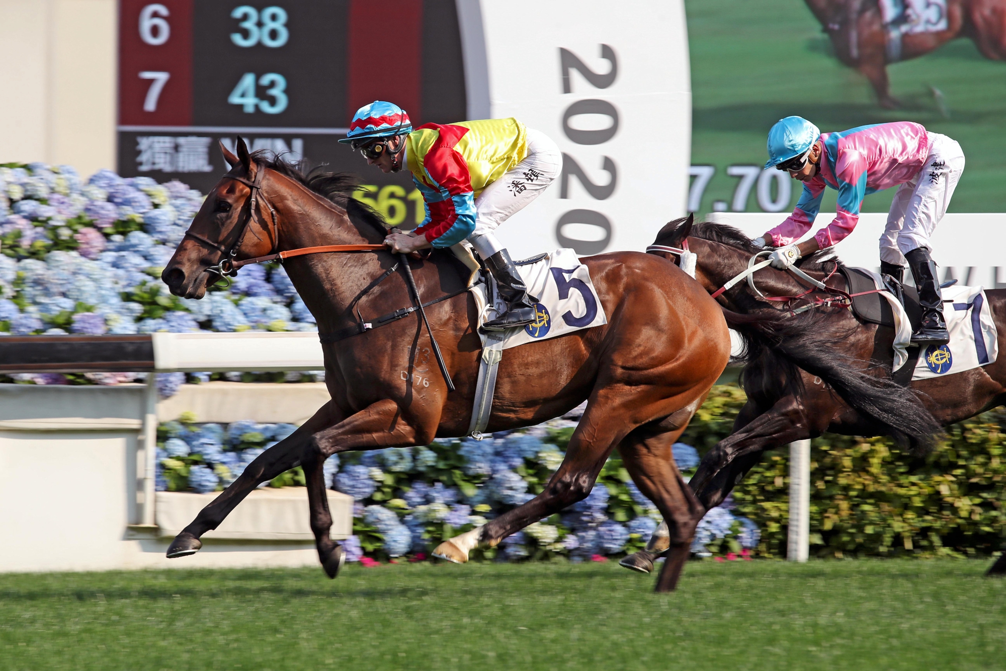 Wellington is a three-time winner from four starts in Hong Kong.