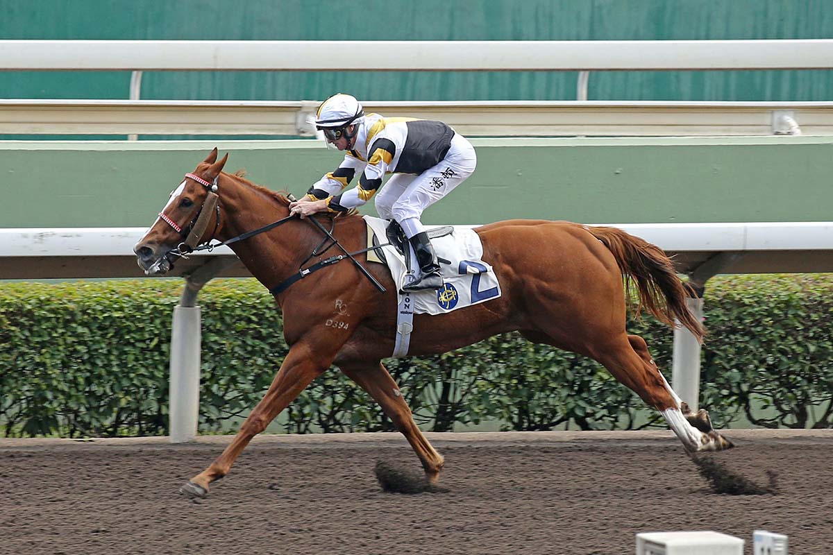 Czarson is a one-time winner from seven Hong Kong starts.