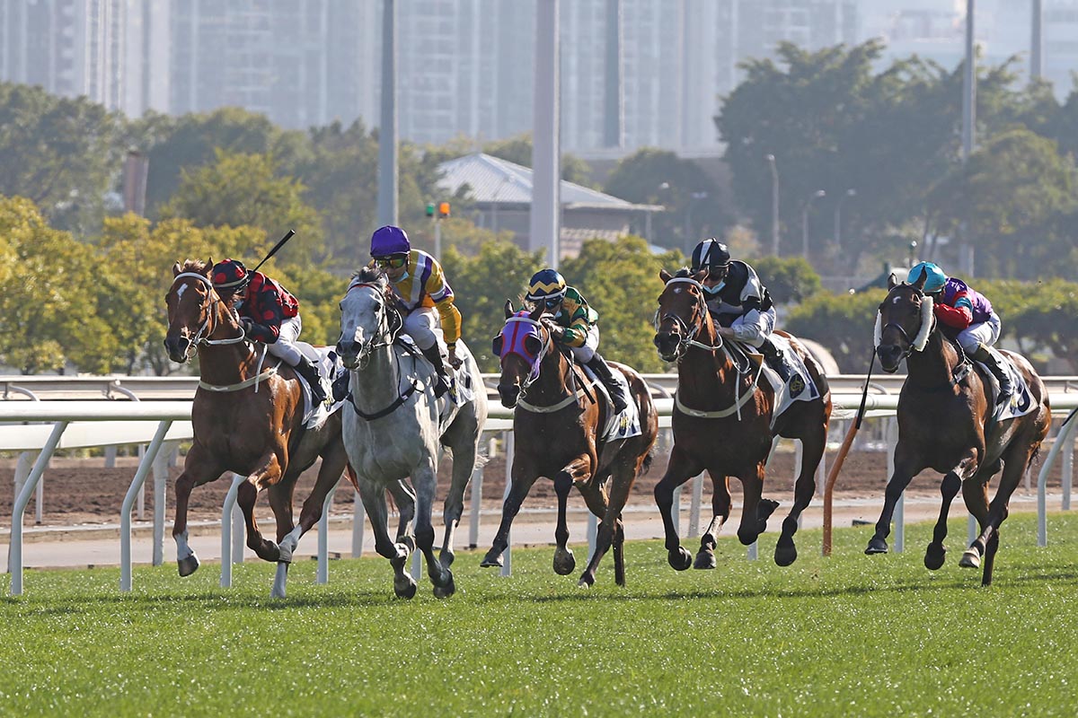The Francis Lui-trained Glorious Dragon, with Matthew Poon atop, wins the Group 3 Centenary Vase Handicap (1800m) at Sha Tin today.
