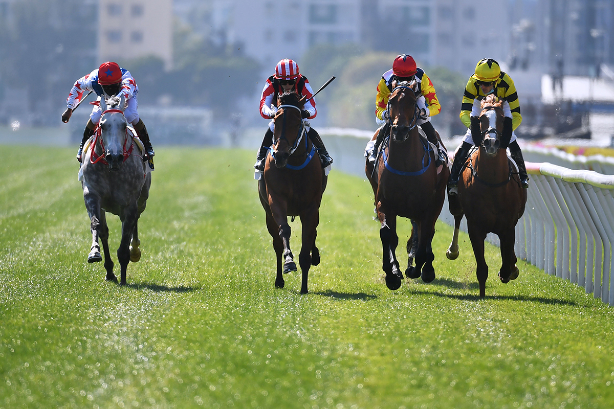 The Caspar Fownes-trained Explosive Witness, ridden by Alexis Badel, wins the G3 Bauhinia Sprint Trophy Handicap (1000m) at Sha Tin Racecourse today.