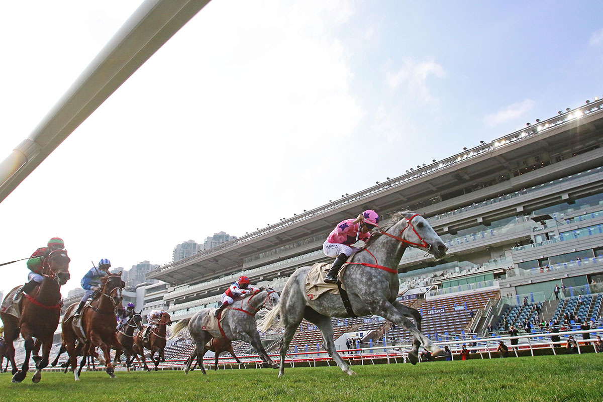 The John Size-trained Hot King Prawn (No. 1), ridden by Joao Moreira, takes the G1 Centenary Sprint Cup (1200m), the opening leg of the 2020/21 Hong Kong Speed Series, at Sha Tin Racecourse today.