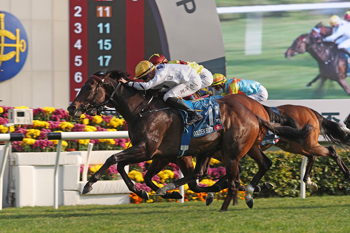 Golden Sixty takes the Stewards’ Cup under Vincent Ho.