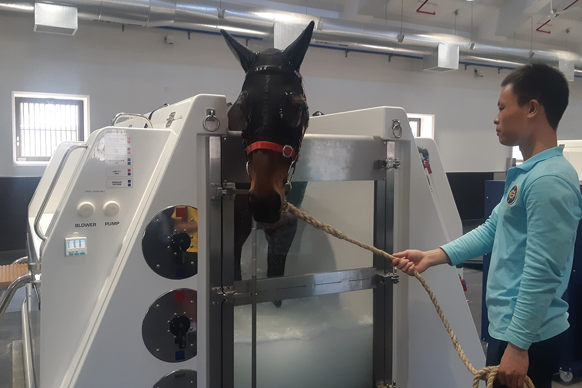 The Hong Kong Jockey Club Equine Welfare Research Foundation will fund research in equine welfare and promote the application of research results.