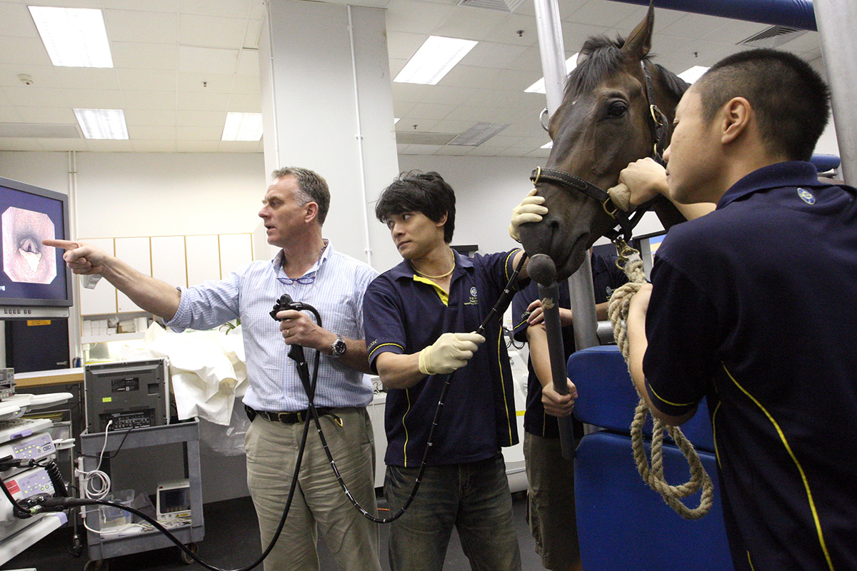 The Hong Kong Jockey Club Equine Welfare Research Foundation hopes the scientific research it funds will benefit equine welfare in the long run.