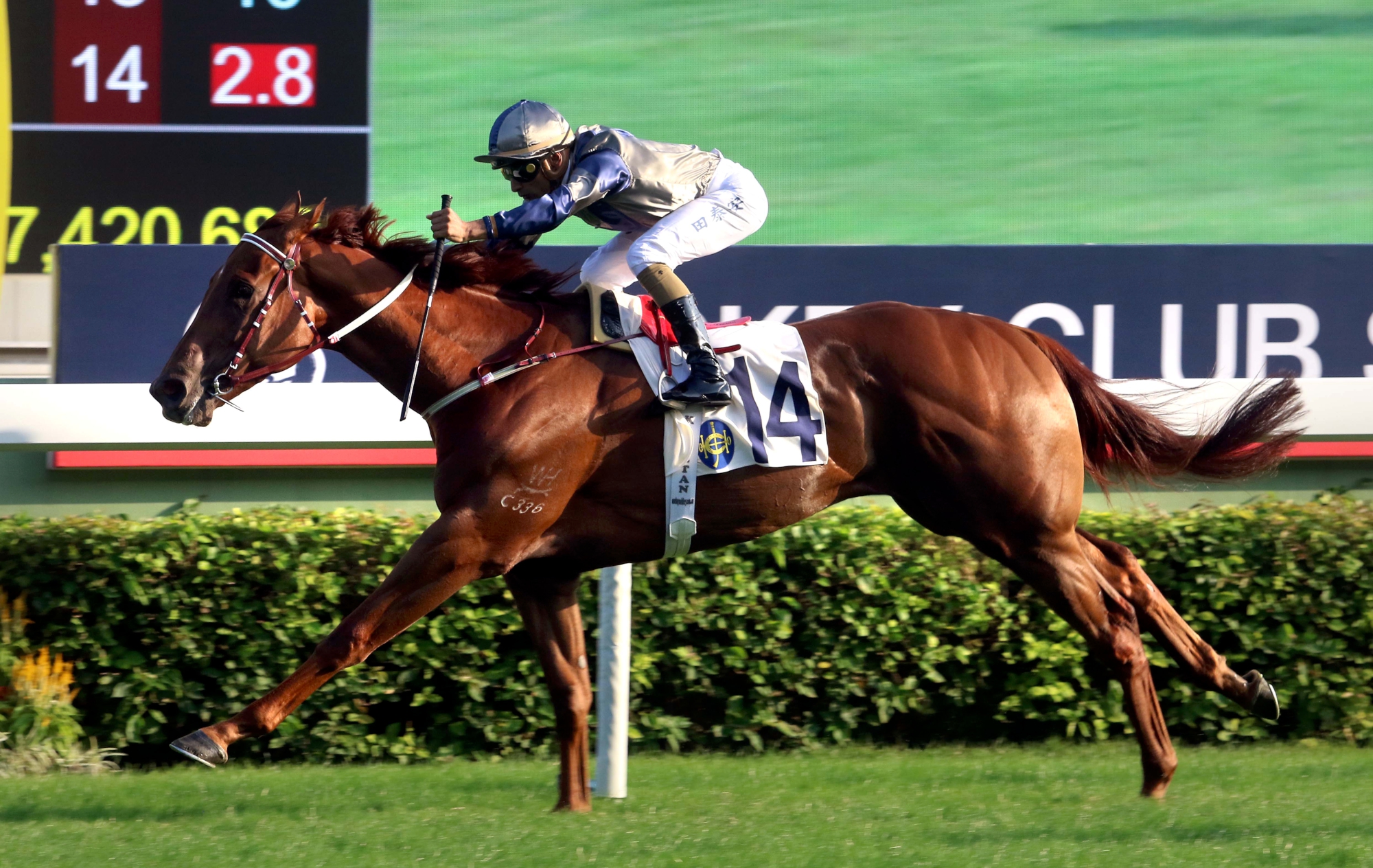 Aethero is a five-time winner from nine starts in Hong Kong.