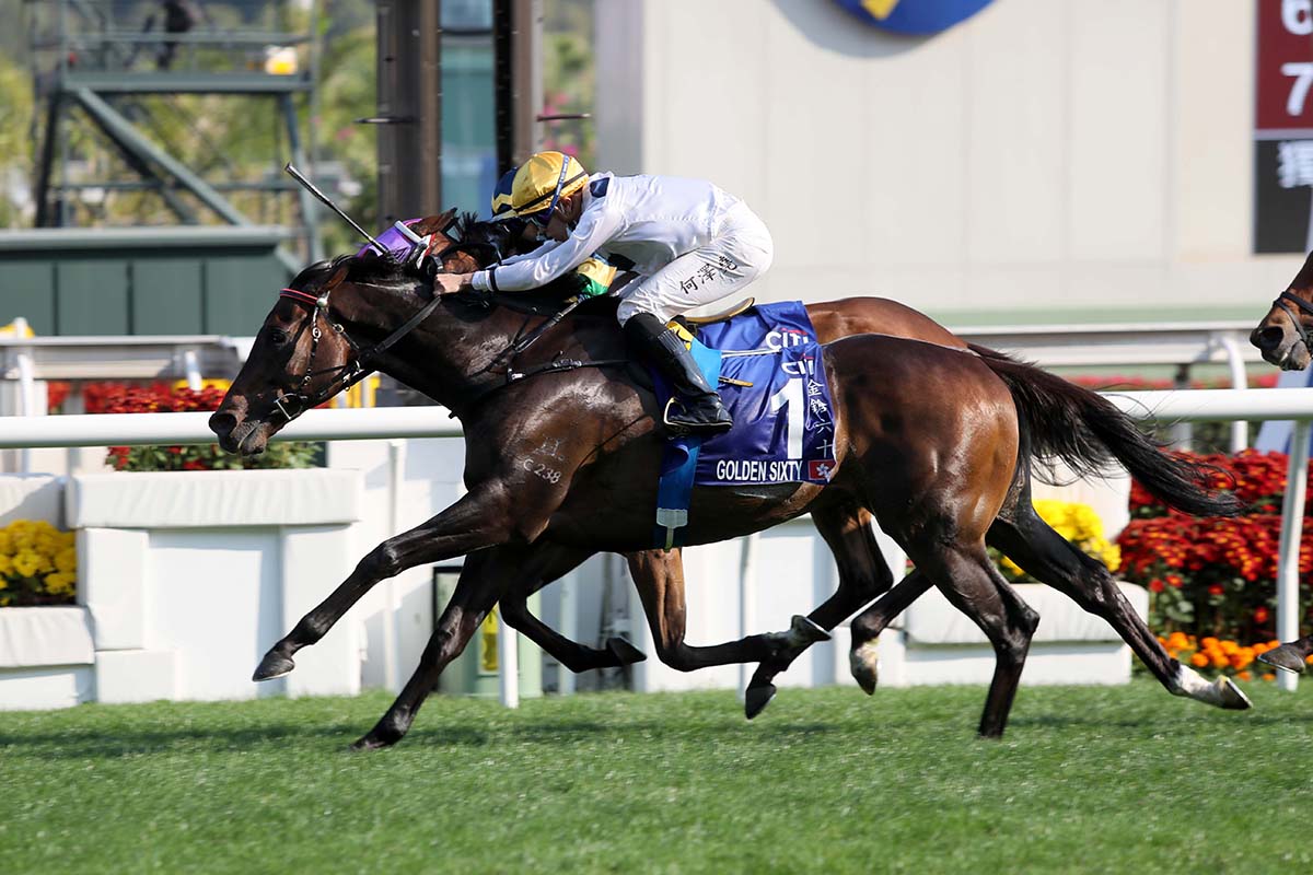 The Francis Lui-trained Golden Sixty (in white) notches his 13th consecutive win under Vincent Ho in the G1 Citi Hong Kong Gold Cup (2000m), the second leg of the Triple Crown, at Sha Tin Racecourse today.
