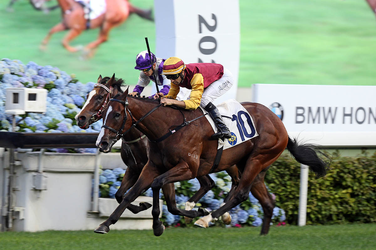 Seattle Choice makes it back-to-back wins at Sha Tin.