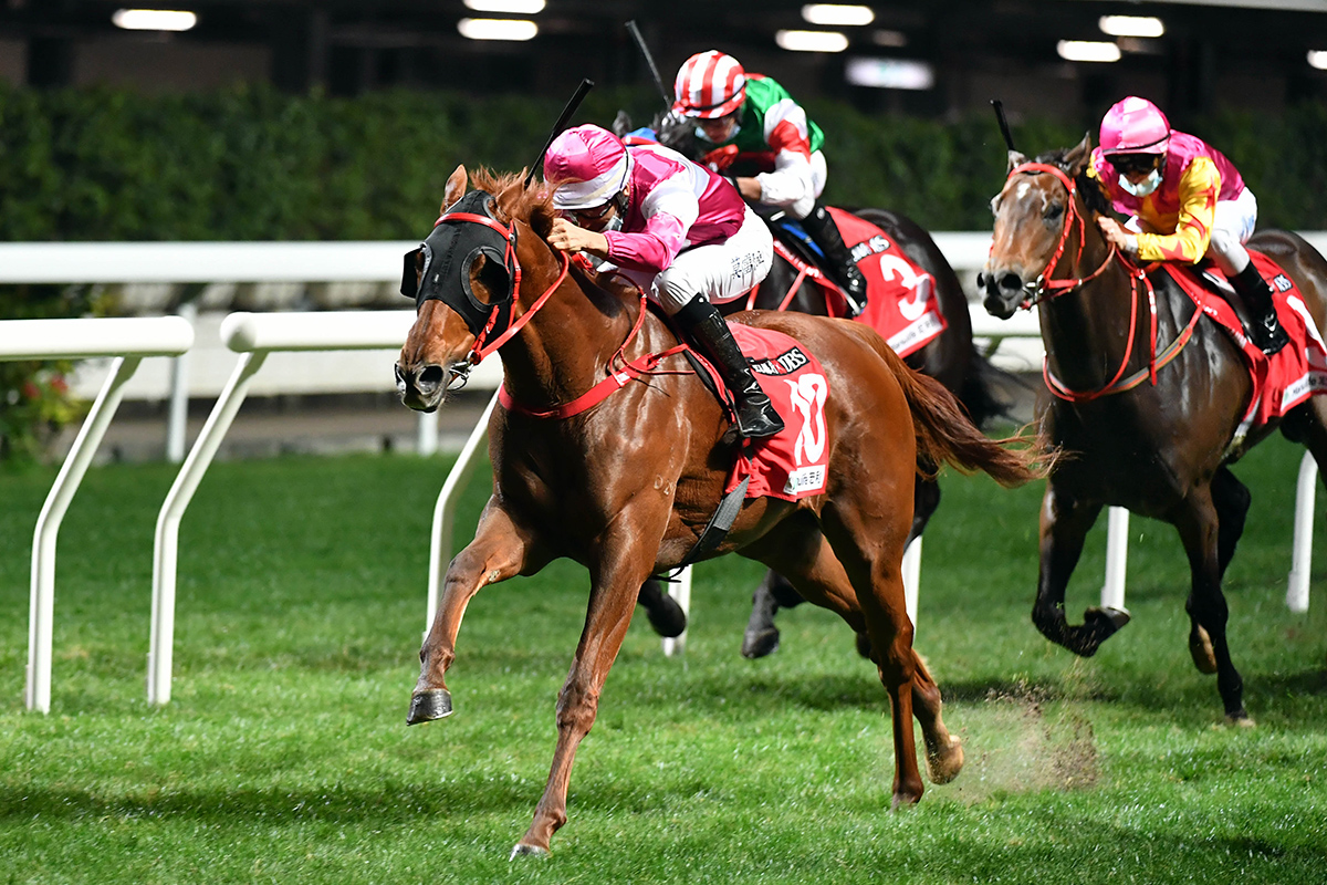 Kinda Cool wins at Happy Valley on 23 December.